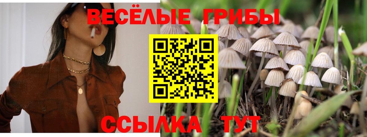 Галлюциногенные грибы мухоморы Орск
