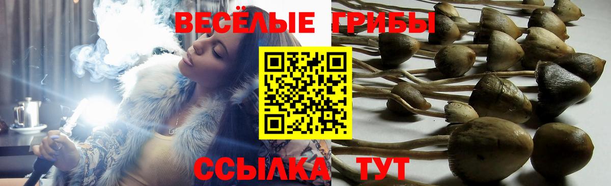Орск  Галлюциногенные грибы мухоморы  Вход с VPN 